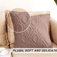 thumbnail image 3 of Funda de almohada decorativa tipo abrazo, funda de almohada para sofá de lana sintética de felpa suave, juego de 2, 3 of 5