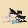 thumbnail image 4 of Play by Playology Dog Toys | Interactive Dog Toy Bone | Scented Crunchy Bone, Large, 4 of 7