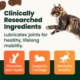 thumbnail image 3 of VetriScience GlycoFlex 2 Healthy Hip & Joint Chicken Flavored Chews with Glucosamine & Green-Lipped Mussel, Supplement for Cats, 60 Count, 3 of 12
