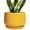 Yellow, variant on Ordivicd 6 inch Dark Reactive Glaze Round Ceramic Planter Pot with Drainage Hole & Saucer, Small Indoor Succulent Cactus Plant Pot for Home Windowsill Decor, Gift for Plant Lovers Women