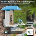 thumbnail image 2 of SEGMART Smart Bird Feeder with Camera, Solar Powered Bird Feeder Camera with AI Identify Bird Species - 11,000+ Birds, 1080P HD Camera Auto Capture Bird Video, App Notify When Birds Detected, 2 of 9