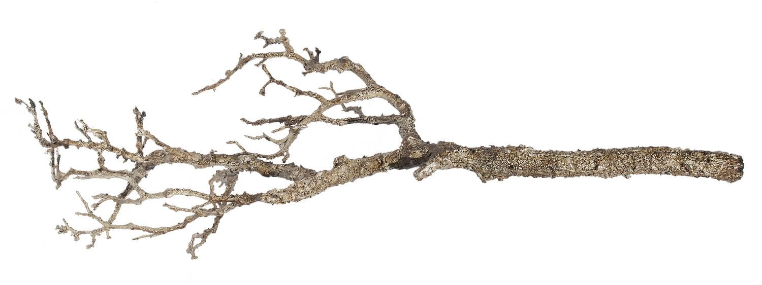 Primordial Branche décorative pour foyers électriques