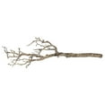 thumbnail image 2 of Paramount Decorative Branch for Electric Fireplaces, 2 of 2