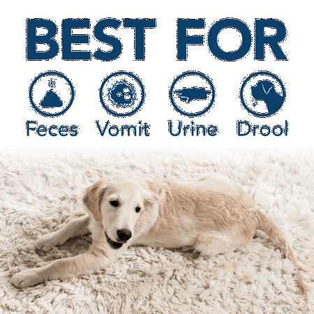Simple Solution Multi Surface Pet Stain and Odor Remover - 1 Gallon
