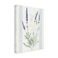 thumbnail image 2 of Danhui Nai 'Floursack Lavender I' Canvas Art, 2 of 4