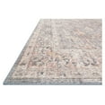 Loloi II Skye Oriental Grey / Apricot Area Rug