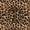 Brown T, variant on Erosebridal Women Cheetah Printed Twin Sheet Sets,Brown Leopard Pattern Monogrammed J Bedding For Adults 3pcs