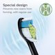 thumbnail image 3 of EBay Alemania Precio Limitado 15 99 HX6064 Sonicare W2 El Mejor Cabezal Cepillo Dientes Blanco 4 Blanco (paquete W2 Negro), 3 of 9