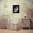 thumbnail image 4 of Butler, John 12x14 Black Modern Framed Museum Art Print Titled - Palm Deco II, 4 of 5