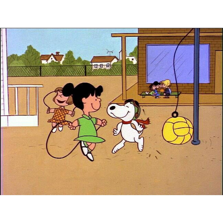 Peanuts: 1960's Collection (DVD) - Walmart.com