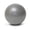 Silver, variant on Mini Exercise Ball with Pump - 9 Inch Bender Ball for Stability, Barre, Pilates, Yoga, Core Training and Physical Therapy