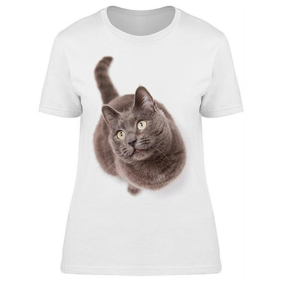 Face Close-Up Grey Cat Beauty T-Shirt Women -Image by Shutterstock, Female 3X-Large