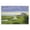 Marshside Serenity On Cape, variant on Stupell Industries Traditional Fog Green Countryside Canvas Art, 24 x 16, by Walt Johnson