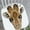 F, variant on Cartoon Animal Head Shape Thick Area Rug Soft Carpet for Kids Room Play Area Home