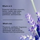 thumbnail image 3 of Biba de Sousa El suero de péptidos de células madre vegetales - Hidratación reparadora intensa y brillo juvenil con péptidos vegetales Ácido hialurónico Antioxidantes Vit B5 (1oz), 3 of 5
