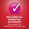 thumbnail image 6 of Purina Friskies Shreds Wet Cat Food, Beef Gravy, 5.5 OZ Cans 24-Count, 6 of 6