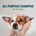 thumbnail image 4 of Sergeant's FUR SO FRESH Dog Shampoo, Ocean Breeze, 18 oz, 4 of 5