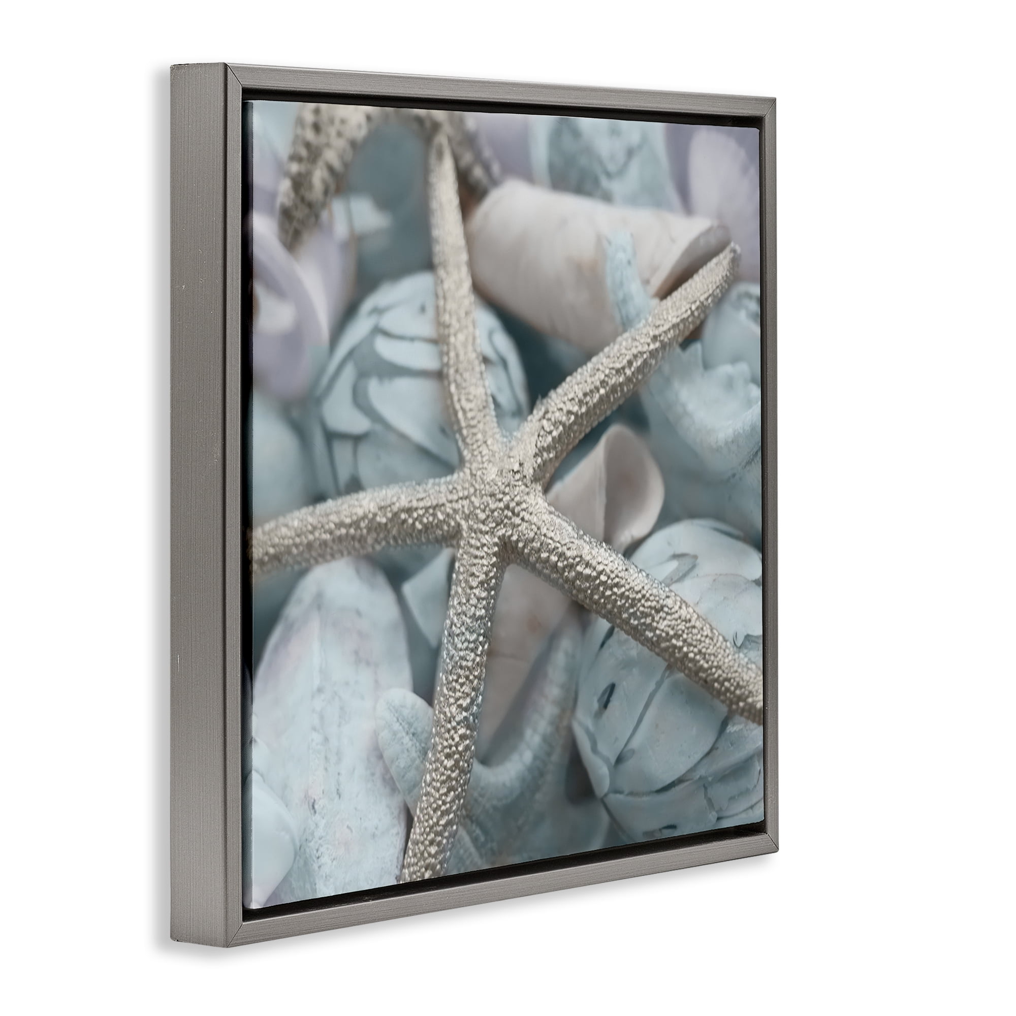 Stupell Industries Starfish & Various Shells Nautical & Beach Photography Gray Floater Framed Canvas Art Print Wall Art, 25 x 25