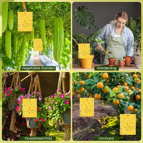 20 Pcs 4 x 6 Inch Yellow Sticky Traps for Gnats Double Sided Sticky,Fly Trap for Plant Whiteflies, Aphids, and Black Flies with Twist Ties,Indoor and Outdoor