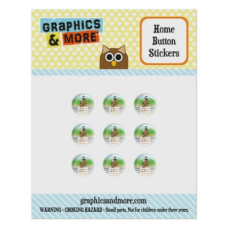Horse Show Jumping Home Button Stickers Set Fit Apple iPhone iPad iPod (Best Camera For Horse Shows)