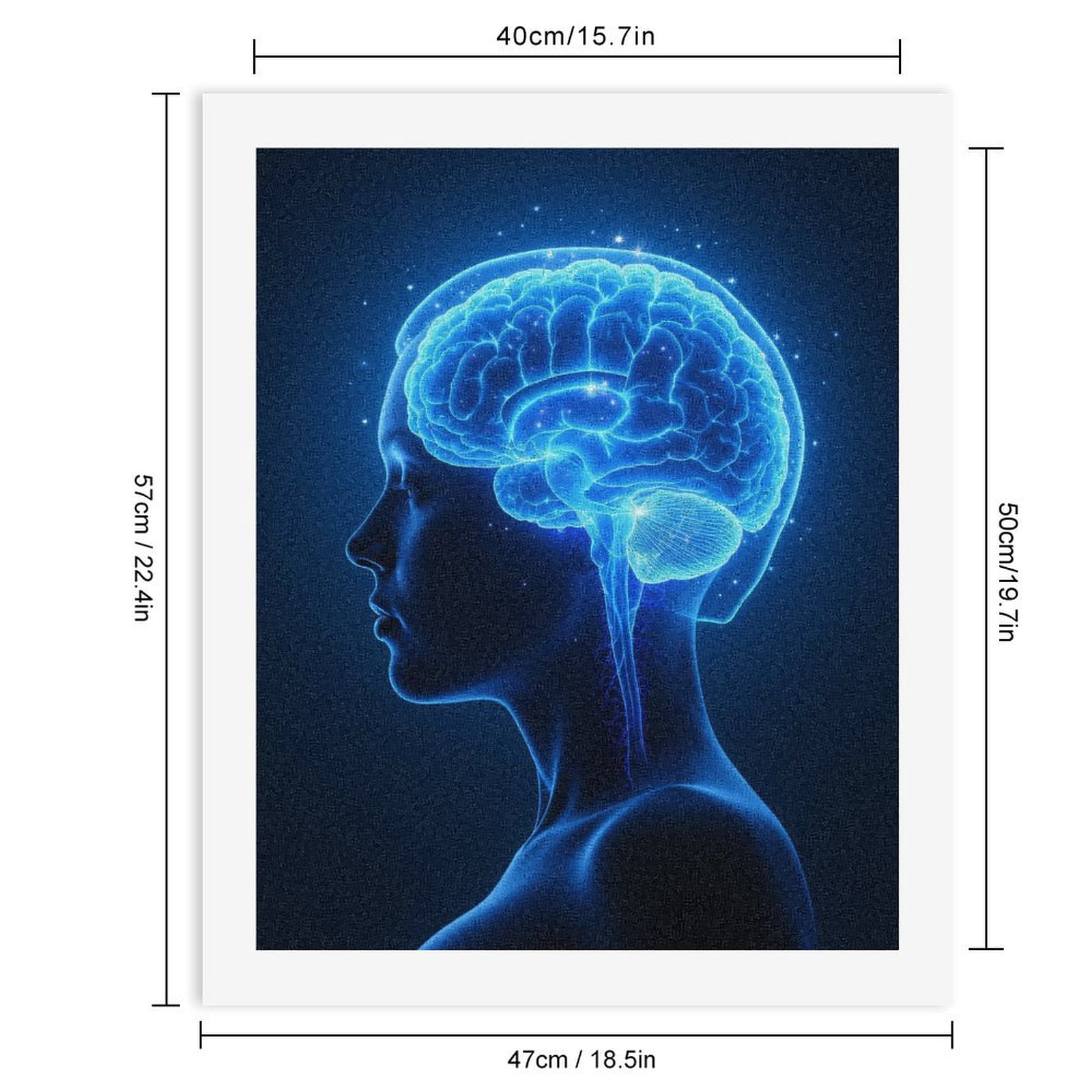 Paint By Numbers Kit for Adults Beginner - Human Brain Anatomy Illustration DIY Canvas Painting Kits for Adults, Frameless Paint By Number for Adults for Home Wall Decor 16x20 Inch