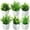 Greenery Style, variant on Small Fake Plants Mini Artificial Potted Plants Indoor Plastic Artificial Plants Aesthetic Eucalyptus Greenery Decor for Office Shelves Living Room Bathroom Bedroom (Fresh Style, 10 Packs)