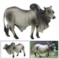 thumbnail image 1 of Figuras de simulación, figuras de acción de juguete, modelo de ganado, juguete preescolar, Animal para sala de estar, decoración del hogar, adorno coleccionable Gris Baoblaze Figuras de vaca, 1 of 8
