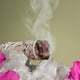 thumbnail image 5 of Paquete de salvia blanca: las varillas de salvia se utilizan para la limpieza del hogar, meditaciones curativas de incienso y rituales de varillas de mancha de California, 5 of 8