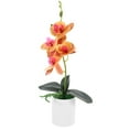 thumbnail image 4 of White Faux Orchid in Pot - Fake Potted Flowers, 4 of 7