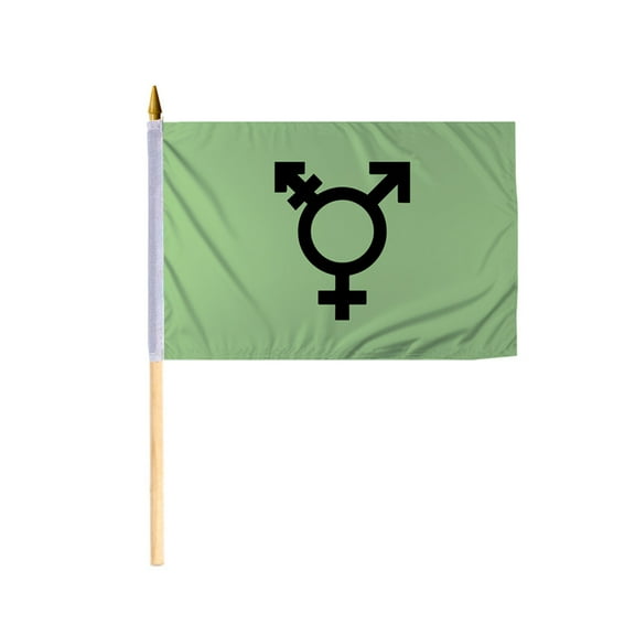 Promopatriot Israel Trans Pride Stick Flag 12x18 inch Stick Flag Sewn Edges Fade Resistant Polyester Handheld 24" Wood Stick Flag