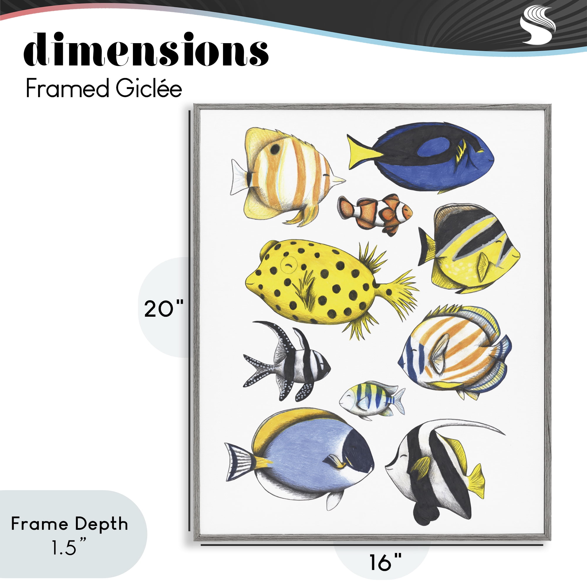 Stupell Industries Aquatic Fishes Collection Gray Framed Giclee Art, design by Cecilia Battaini
