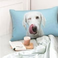 thumbnail image 6 of Kll Puppy Licks Nose Pillow Covers Envelope Closure,Super Soft And Cozy Fuzzy Fleece Pillow Case Cover 14"X20", 6 of 9