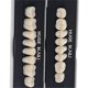 thumbnail image 5 of Materiales Dentales: Resina Sintética, Plástico, Acero, Prótesis Dentales Completas, Prótesis Dentales Preformadas Artificiales, Herramientas Dentales., 5 of 5