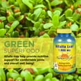 thumbnail image 3 of Nature's Life Alfalfa Leaf Tablets 1000mg | Vitamin Rich Green Superfood | Non-Gmo | 500 Count, 3 of 5