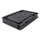 thumbnail image 4 of Trampa Pega Ratones Lion Tools 12 Cajas con 2 Trampas c/u Para Plagas No Toxico 0086, 4 of 5