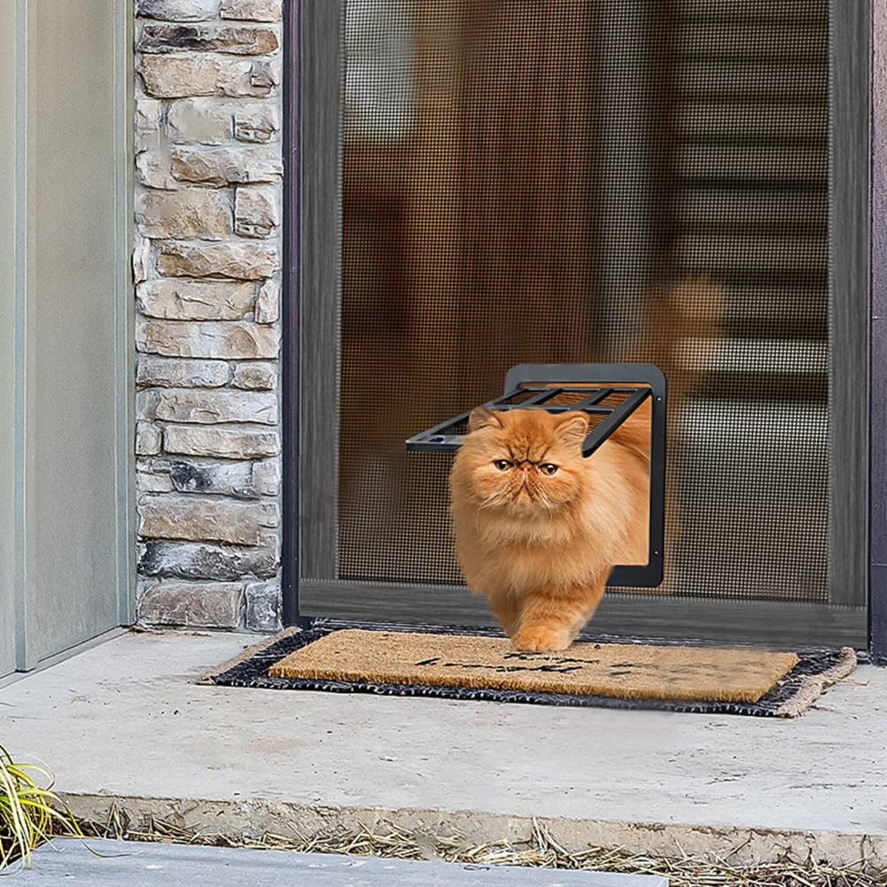 Temporary screen shop door for cats