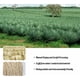 thumbnail image 3 of Cuerda de sisal natural de 8 mm x 60 m, cuerda de repuesto blanca natural antigua para gatos con un par de guantes protectores para árbol de gato flor de árbol de gato, 3 of 5