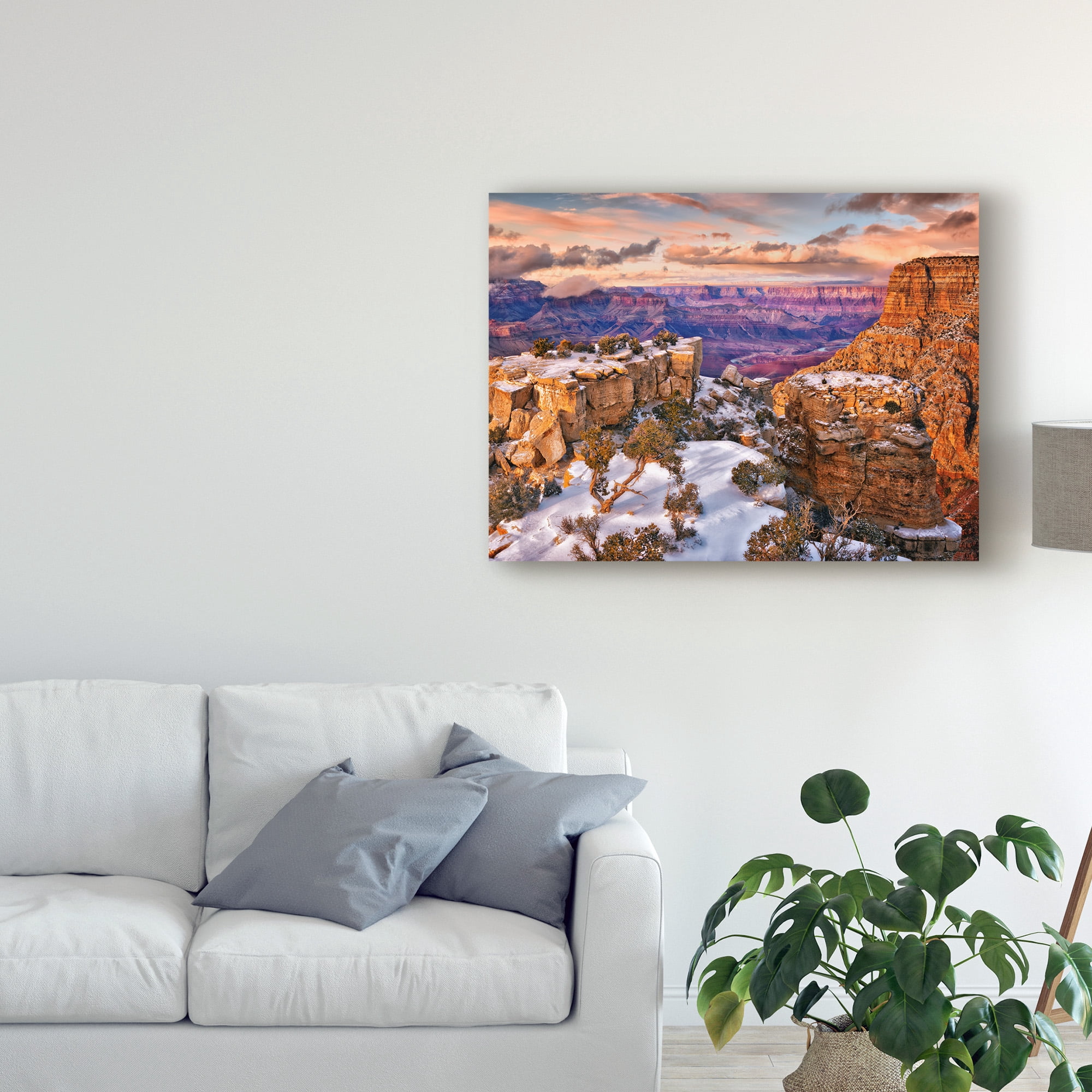 Trademark Fine Art 'Snowy Grand Canyon V' Canvas Art by David Drost