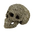 thumbnail image 2 of Zeckos Late Bloomer Flower Covered Human Skull Statue, 2 of 3