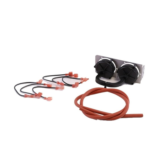 Rheem-Ruud 42-24166-80 - Dual Pressure Switch