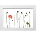 thumbnail image 1 of Gronkjar, Lotte 24x17 White Modern Wood Framed Museum Art Print Titled - New a old, 1 of 4