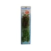 Plantastics Plus Hygrophlia, 18"