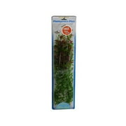 Plantastics Plus Hygrophlia, 18"