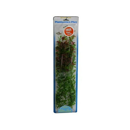 Plantastics Plus Hygrophlia, 18"