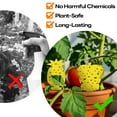 thumbnail image 4 of Gnat Traps for Potted Plants, Fungus Gnat Whitefly Killer Double-Sided Yellow Sticky Trap Fruit Fly Catchers for Indoor/Outdoor Plants, Ideal for Houseplants, Home, Garden, and Greenhouse - 30 Traps, 4 of 7