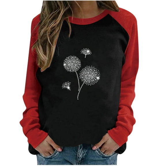 Women's Classic Long Sleeve Shirts Patchwork Color Block Crewneck Sweatshirt Sweater Printed Loose Casual Tee