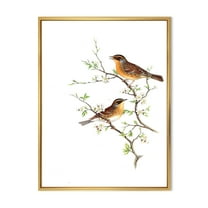 Designart 'Ancient Mammals II' Farmhouse Framed Canvas Wall Art Print