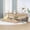 Natural, variant on 80" Twin XL Daybed, Convertible Sofa Bed, Trundle Sleeper with Storage Drawers and Pinewood Frame for Living Rooms Compact Areas Guest Spaces, Walnut