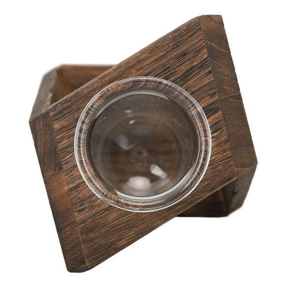 Desktop Glass Plants Terrariums, Innovative Multipurpose Glass Test Tube Plant Terrarium for Indoor for Hydroponic Plants Carbon Grill