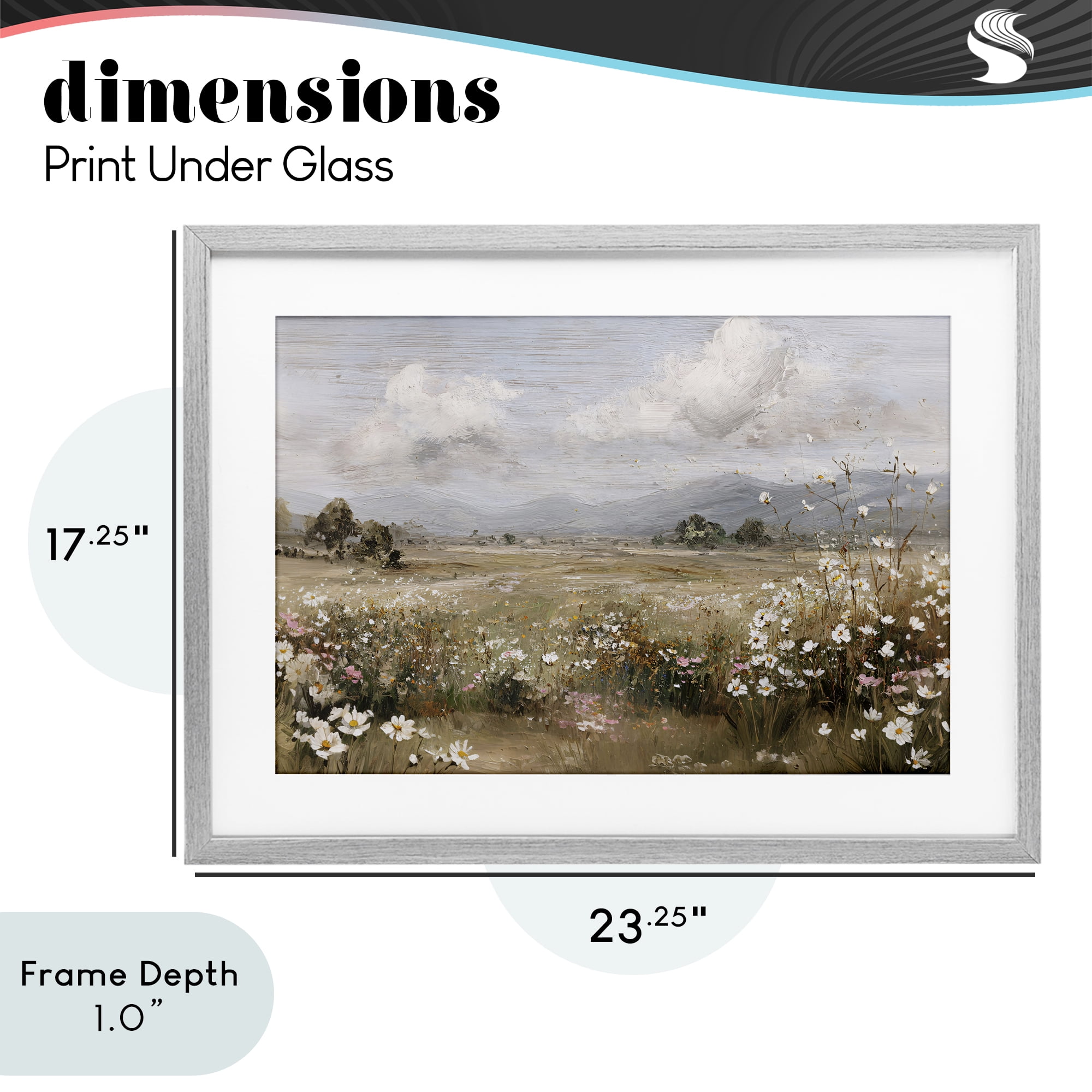 Stupell Industries Daisy Clusters in Field Gray Framed Print Under Glass, design by Jacky Ngan